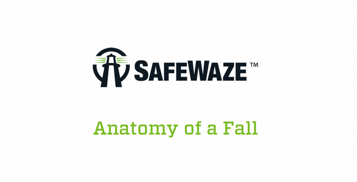 Anatomy of a Fall